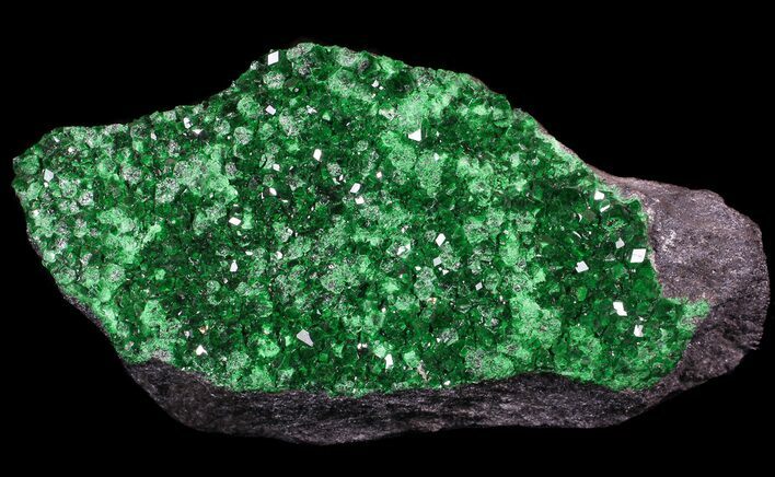 Spectacular Green Uvarovite (Garnet Group) - Russia #62864